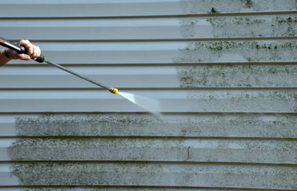 Best Exterior Home Cleaning  in New Rockford, ND